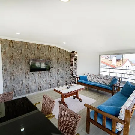 Flat With Mountain View In